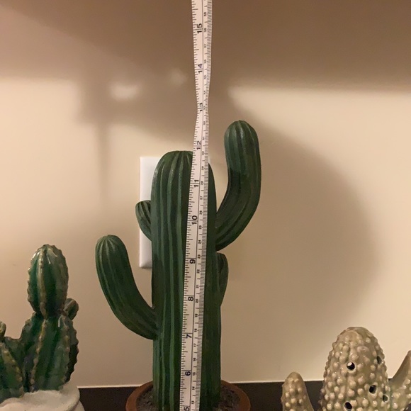 COPY - Southwest cactus decor - Picture 2 of 4